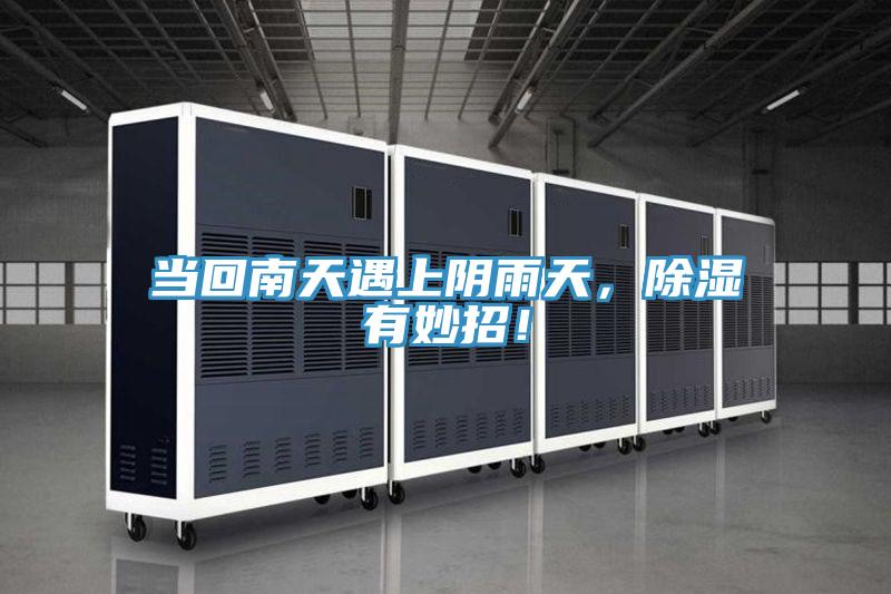 當回南天遇上陰雨天，除濕有妙招！