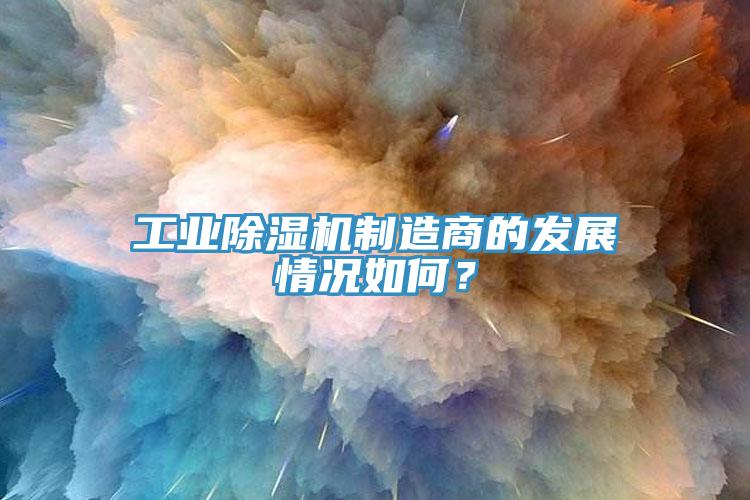 工業除濕機制造商的發展情況如何？