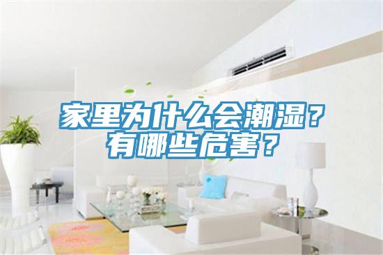 家里為什么會潮濕？有哪些危害？