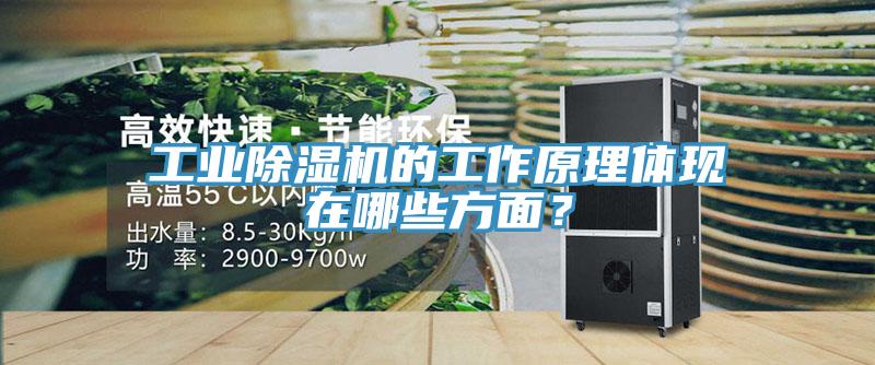 工業除濕機的工作原理體現在哪些方面?