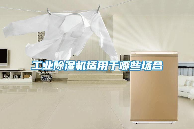 工業(yè)除濕機適用于哪些場合