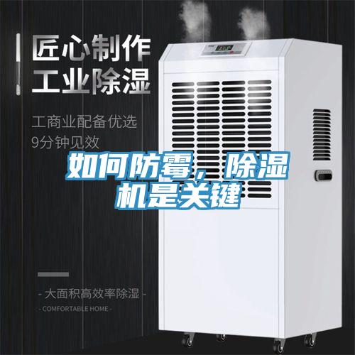 如何防霉，除濕機(jī)是關(guān)鍵