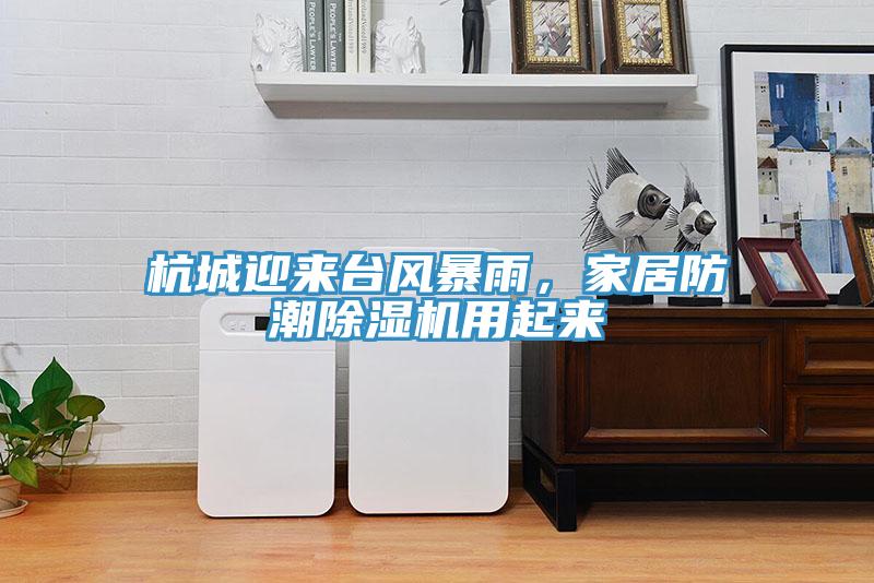 杭城迎來臺風暴雨，家居防潮除濕機用起來