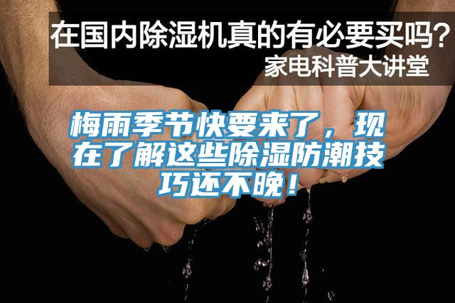 梅雨季節(jié)快要來了，現在了解這些除濕防潮技巧還不晚！