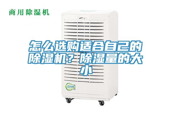 怎么選購適合自己的除濕機(jī)？除濕量的大小