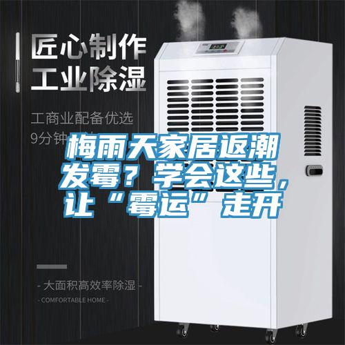梅雨天家居返潮發(fā)霉？學(xué)會(huì)這些，讓“霉運(yùn)”走開