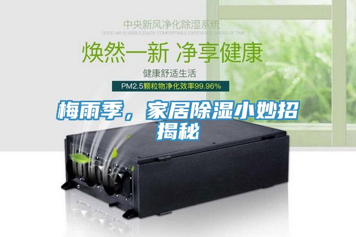 梅雨季,家居除濕小妙招揭秘