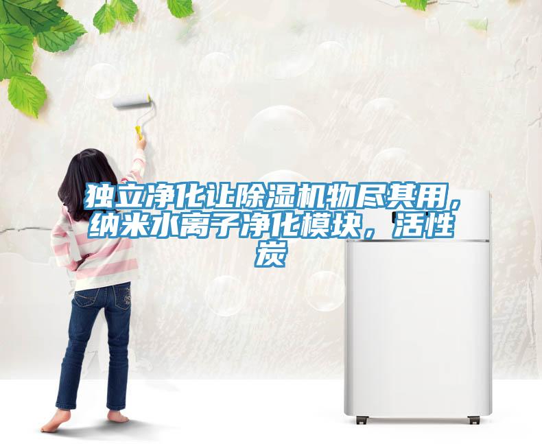 獨立凈化讓除濕機物盡其用，納米水離子凈化模塊，活性炭