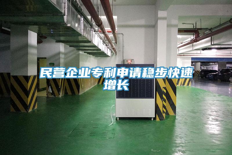 民營企業專利申請穩步快速增長