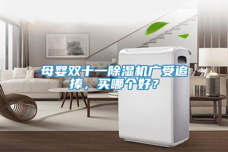 母嬰雙十一除濕機(jī)廣受追捧，買(mǎi)哪個(gè)好？