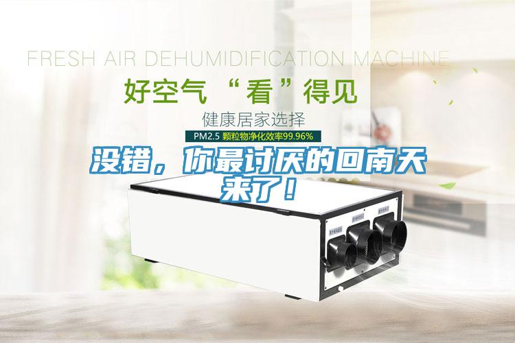 沒錯，你最討厭的回南天來了！