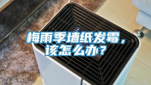 梅雨季墻紙發霉，該怎么辦？