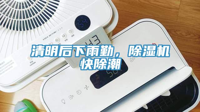 清明后下雨勤,除濕機快除潮