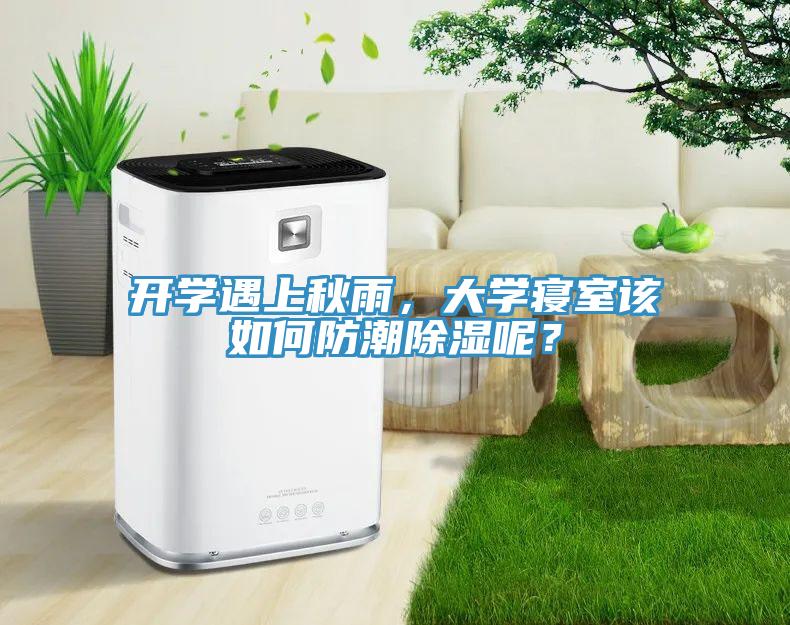 開(kāi)學(xué)遇上秋雨，大學(xué)寢室該如何防潮除濕呢？