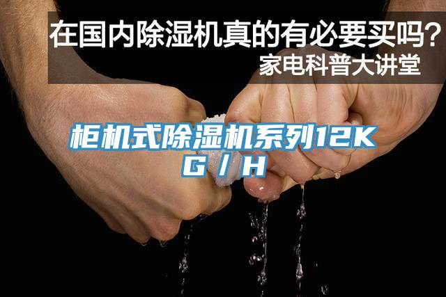 柜機式除濕機系列12KG/H
