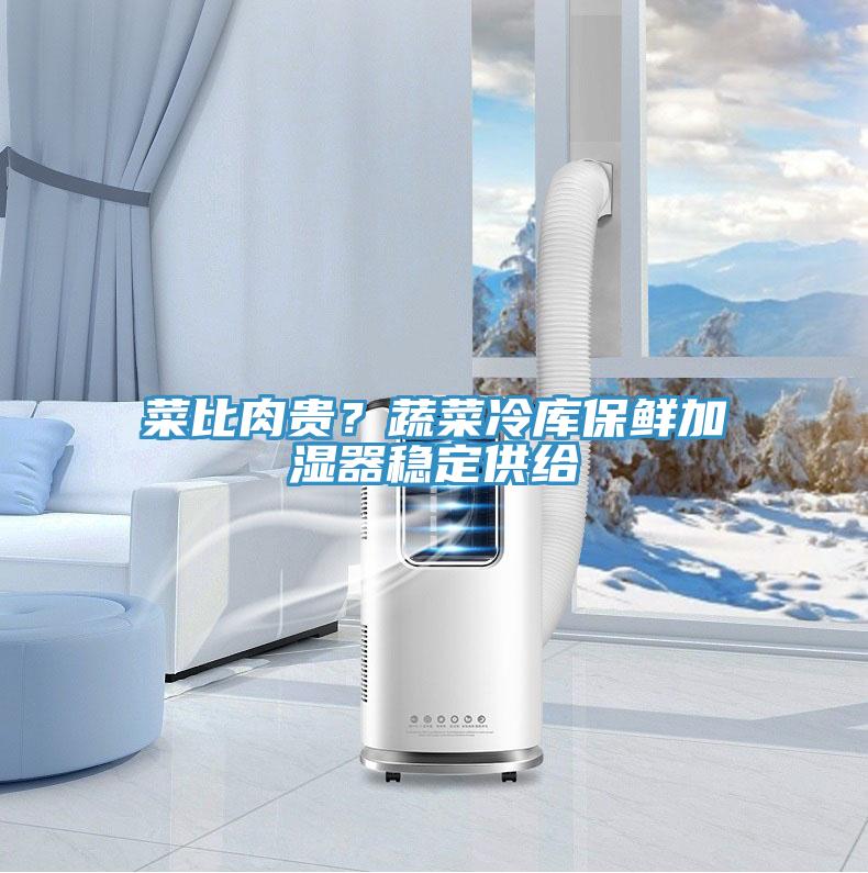 菜比肉貴?蔬菜冷庫保鮮加濕器穩(wěn)定供給