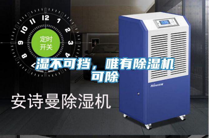 濕不可擋,唯有除濕機可除