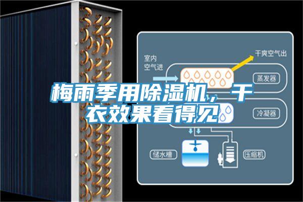梅雨季用除濕機(jī)，干衣效果看得見