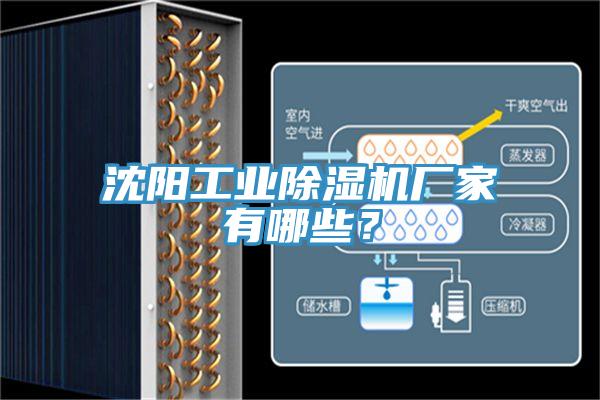 沈陽工業(yè)除濕機廠家有哪些？