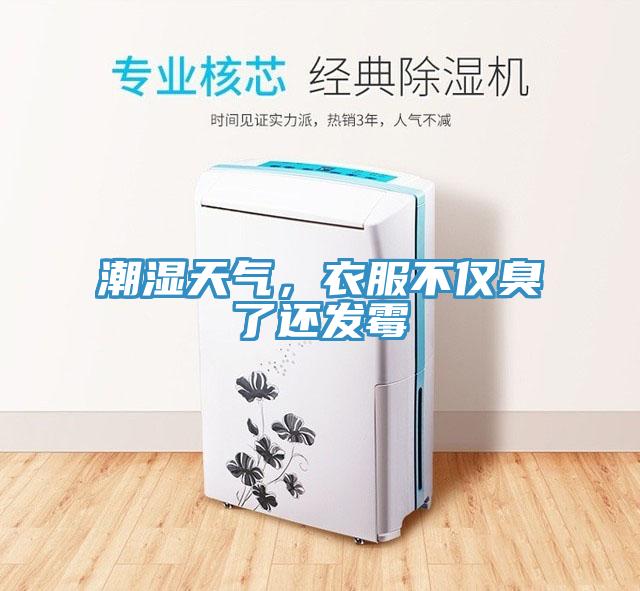 潮濕天氣,衣服不僅臭了還發(fā)霉