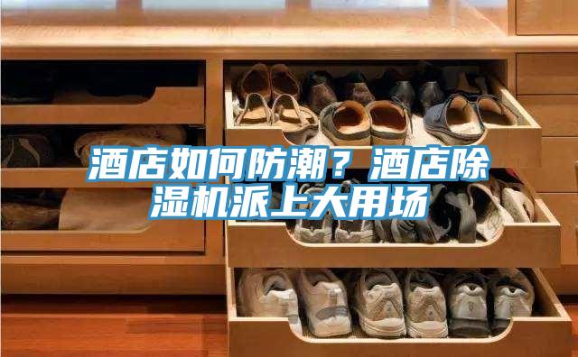 酒店如何防潮？酒店除濕機派上大用場