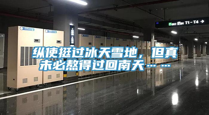 縱使挺過冰天雪地,但真未必熬得過回南天……