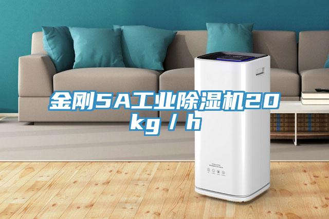 金剛5A工業(yè)除濕機20kg/h