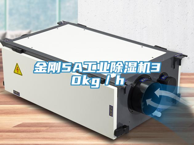 金剛5A工業(yè)除濕機30kg/h