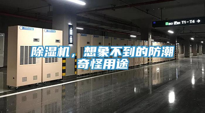 除濕機(jī)，想象不到的防潮奇怪用途