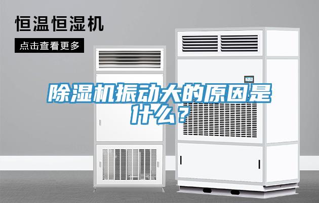 除濕機(jī)振動大的原因是什么？