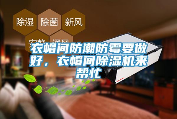 衣帽間防潮防霉要做好，衣帽間除濕機來幫忙