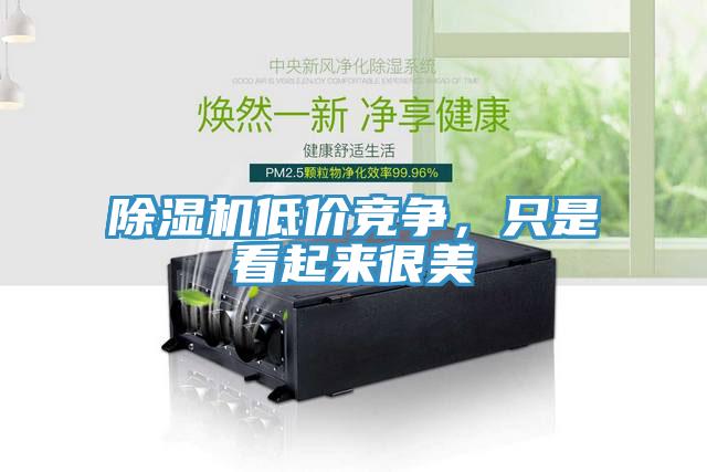 除濕機(jī)低價(jià)競爭，只是看起來很美
