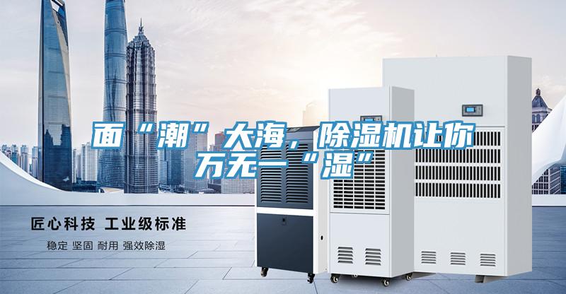 面“潮”大海,除濕機讓你萬無一“濕”