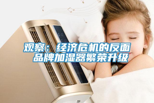 觀察:經濟危機的反面 品牌加濕器繁榮升級