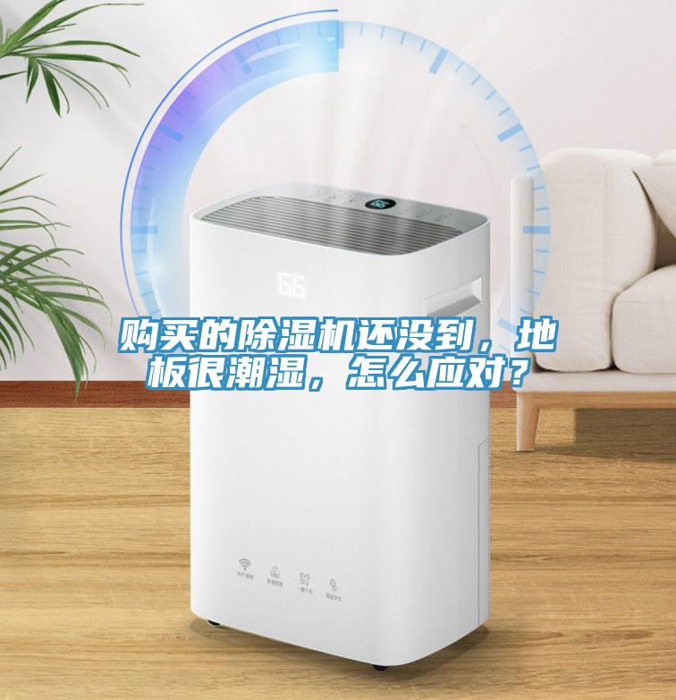 購(gòu)買的除濕機(jī)還沒到，地板很潮濕，怎么應(yīng)對(duì)？
