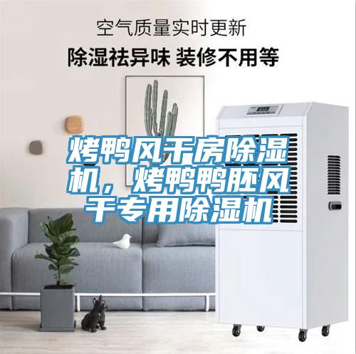 烤鴨風(fēng)干房除濕機(jī)，烤鴨鴨胚風(fēng)干專(zhuān)用除濕機(jī)