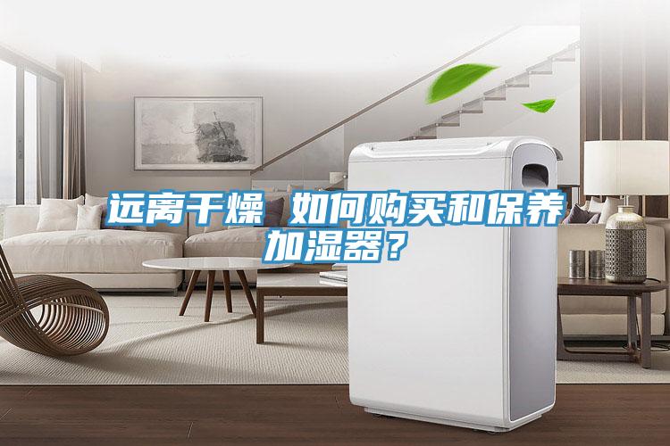 遠(yuǎn)離干燥 如何購買和保養(yǎng)加濕器？