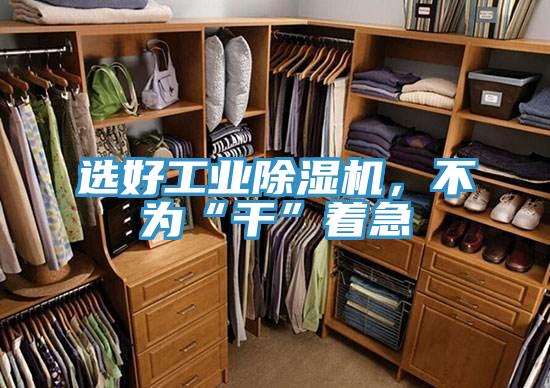 選好工業(yè)除濕機(jī)，不為“干”著急