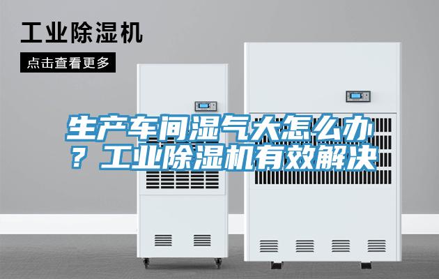 生產車間濕氣大怎么辦?工業除濕機有效解決
