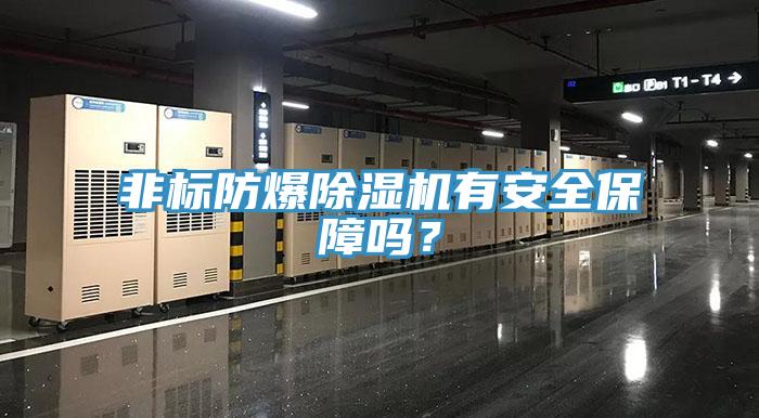 非標(biāo)防爆除濕機(jī)有安全保障嗎？