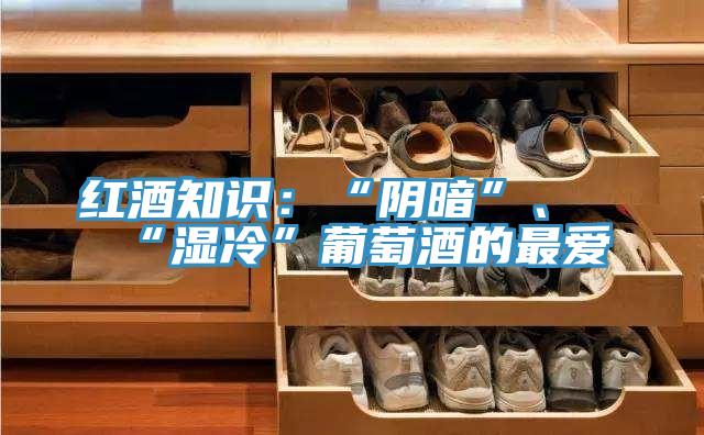 紅酒知識：“陰暗”、“濕冷”葡萄酒的最愛