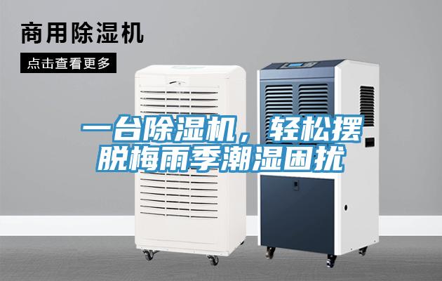 一臺除濕機,輕松擺脫梅雨季潮濕困擾