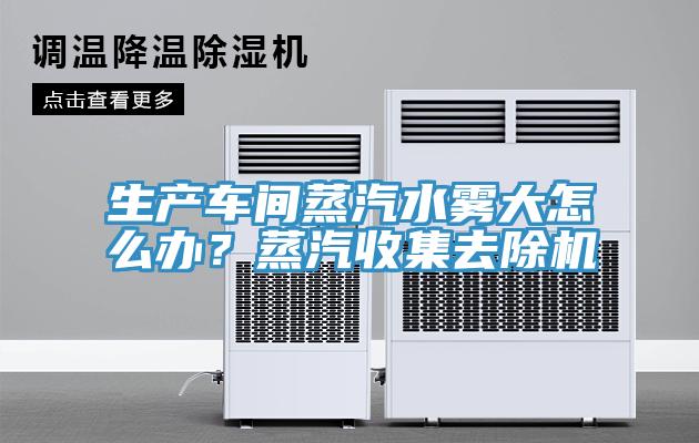 生產車間蒸汽水霧大怎么辦?蒸汽收集去除機