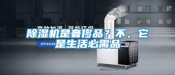 除濕機是奢侈品？不，它是生活必需品