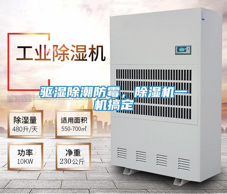 驅濕除潮防霉,除濕機一機搞定