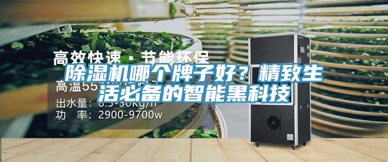 除濕機哪個牌子好?精致生活必備的智能黑科技