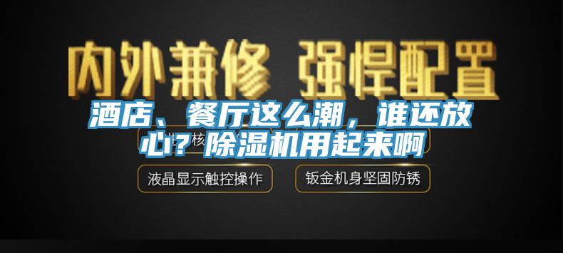酒店、餐廳這么潮，誰(shuí)還放心？除濕機(jī)用起來(lái)啊