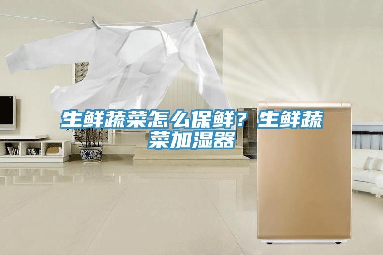 生鮮蔬菜怎么保鮮?生鮮蔬菜加濕器