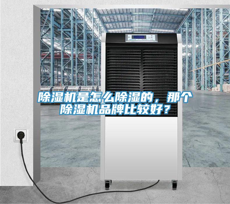 除濕機是怎么除濕的,那個除濕機品牌比較好?