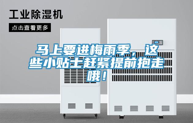 馬上要進梅雨季,這些小貼士趕緊提前抱走哦!